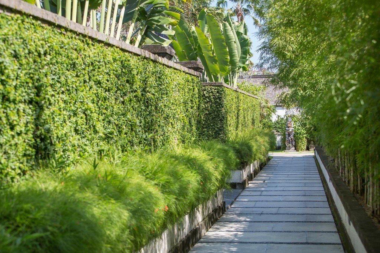 Villa Air Bali Boutique Resort And Spa Petitenget  Eksteriør bilde